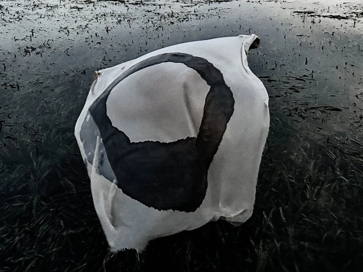 Immersion 11. Caroline Christie-Coxon 08.2024 - websize.jpg