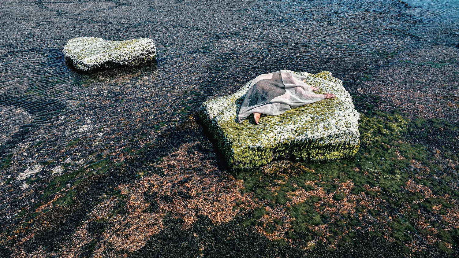 Caroline Christie-Coxon, Crocodile Rocks