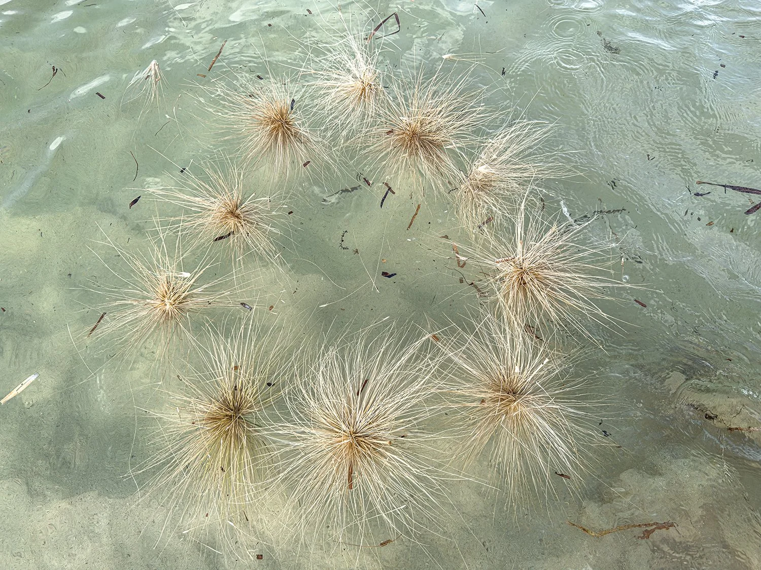 A Kingdom For An Afternoon 3