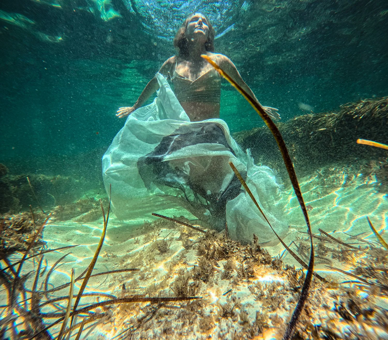 Sea Garden 2