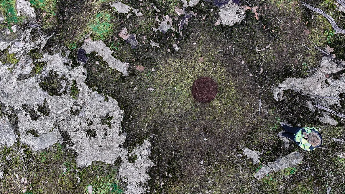 Moss Mud 4. Caroline Christie-Coxon 07.2024 - websize.jpg