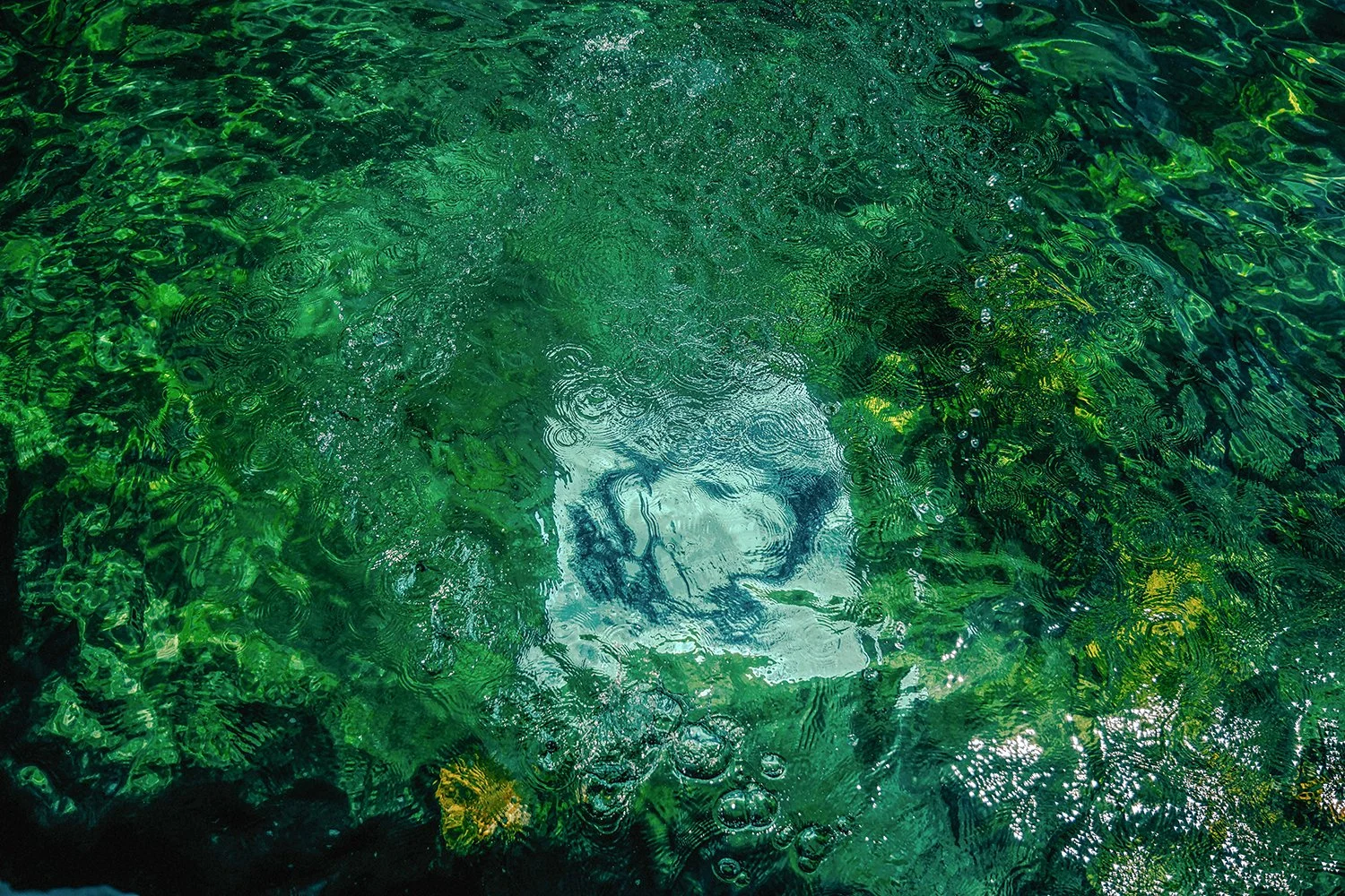 A Thousand Drops 4, 2024