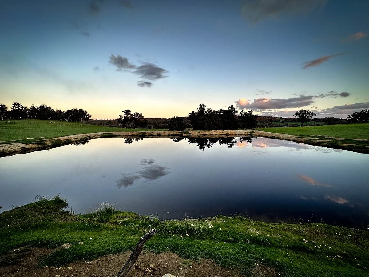 Space Race 1. Caroline Christie-Coxon 08.2023 - websize.jpg