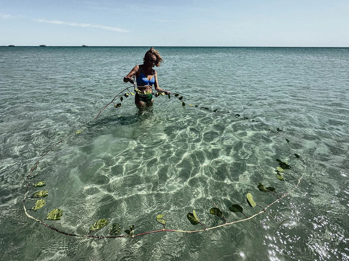 Coastal 10. Caroline Christie-Coxon 05.2023 - websize.jpg