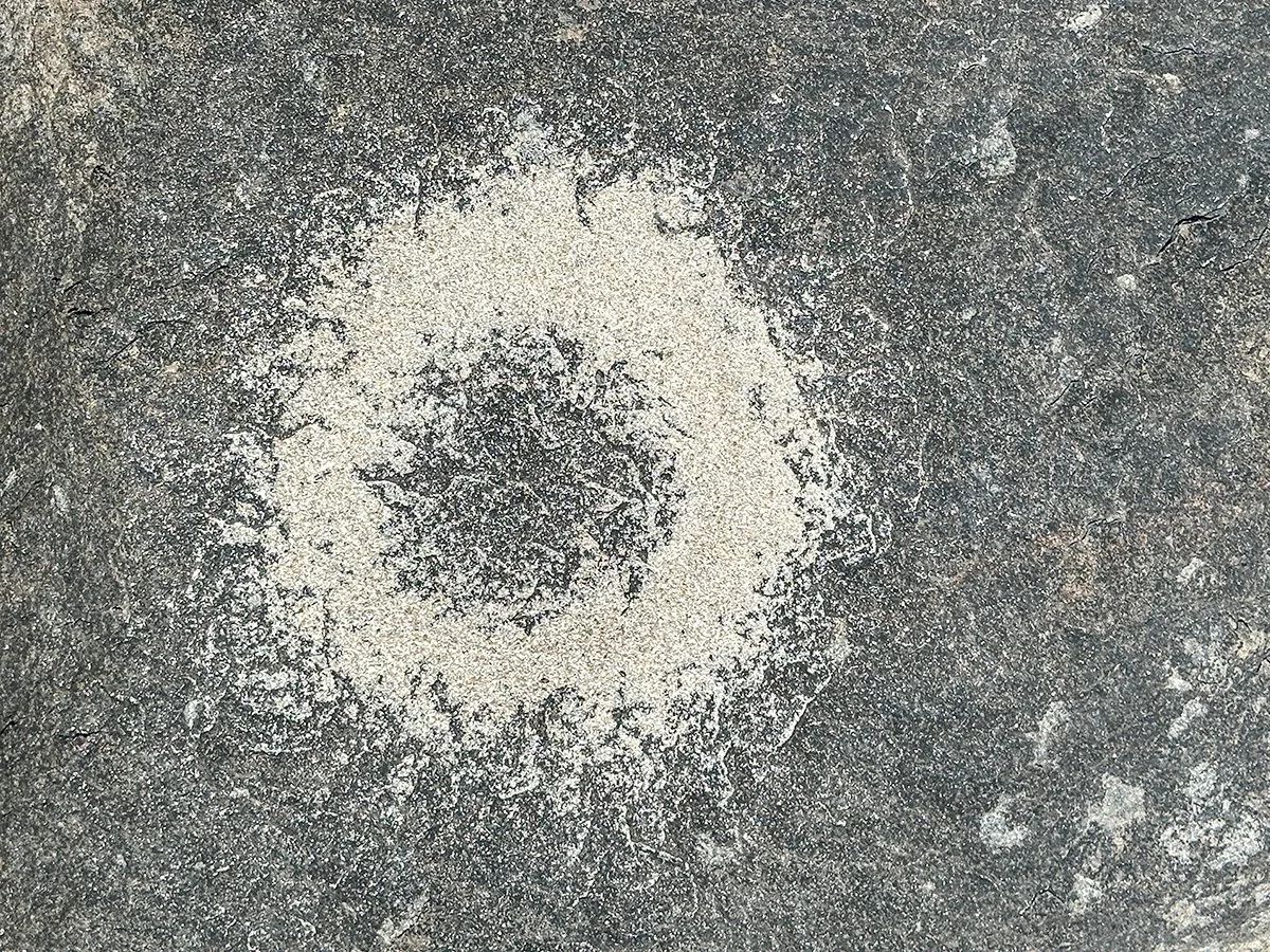 Caroline Christie-Coxon, Silica