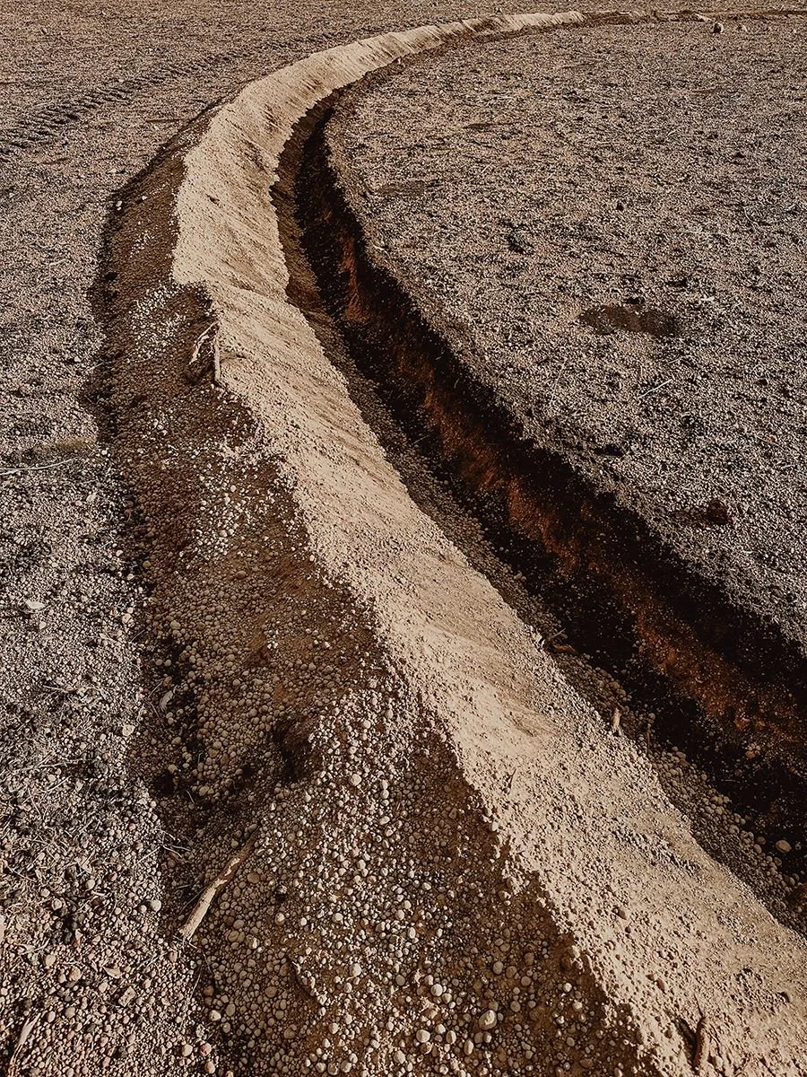 Wandering Ouroboros 6-websize.jpg