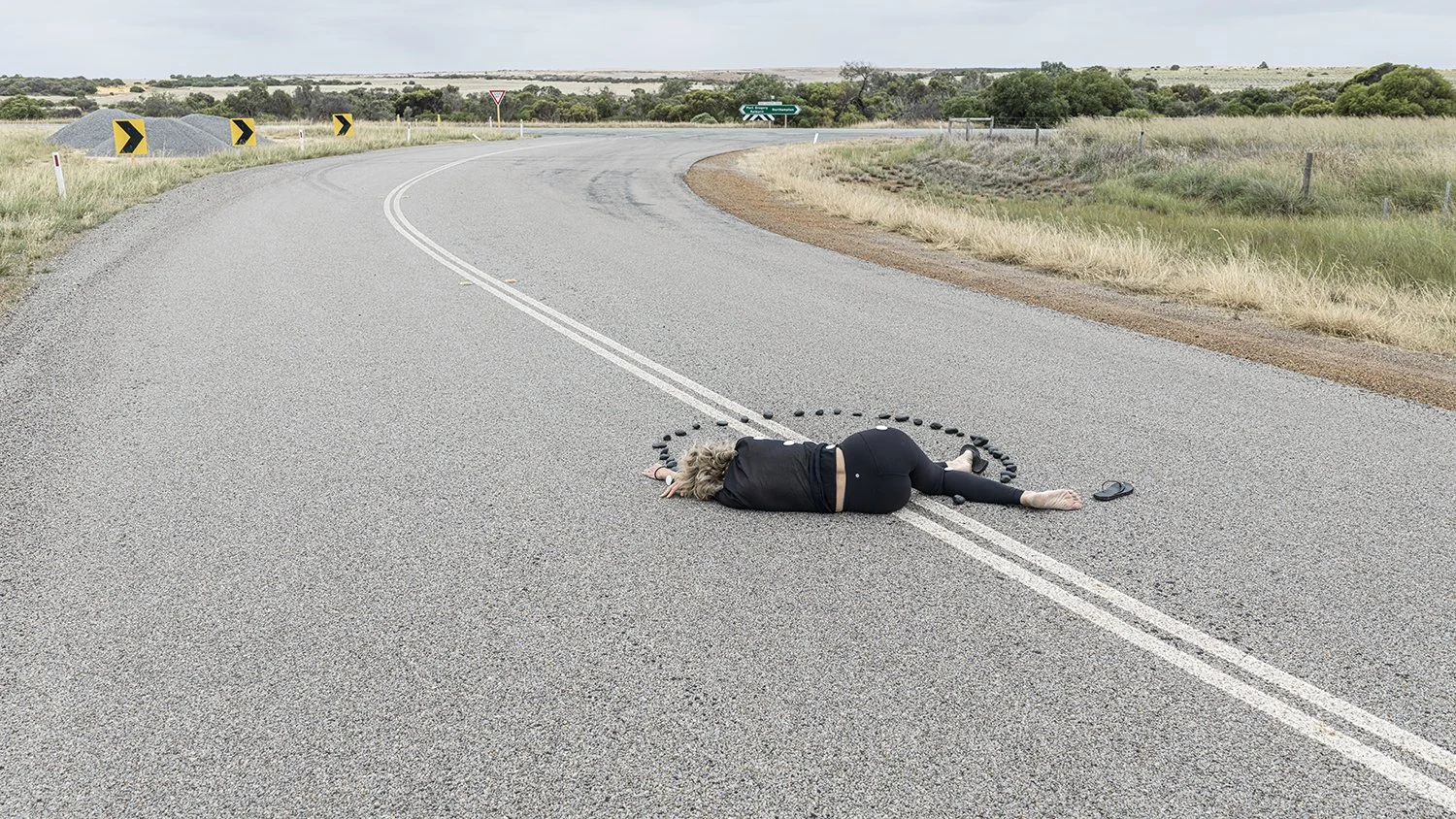 Roadkill Sympathy 2
