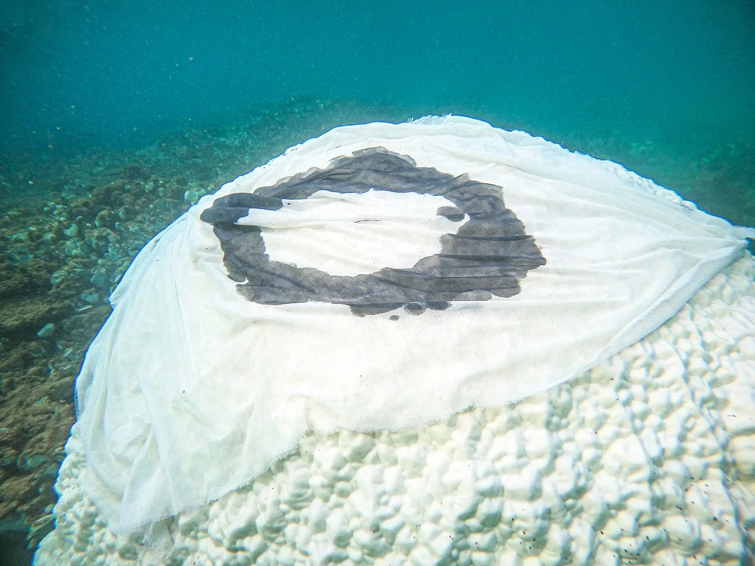 Holding The Reef 10