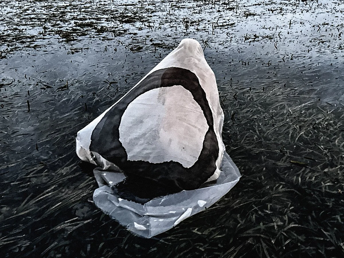 Immersion 1