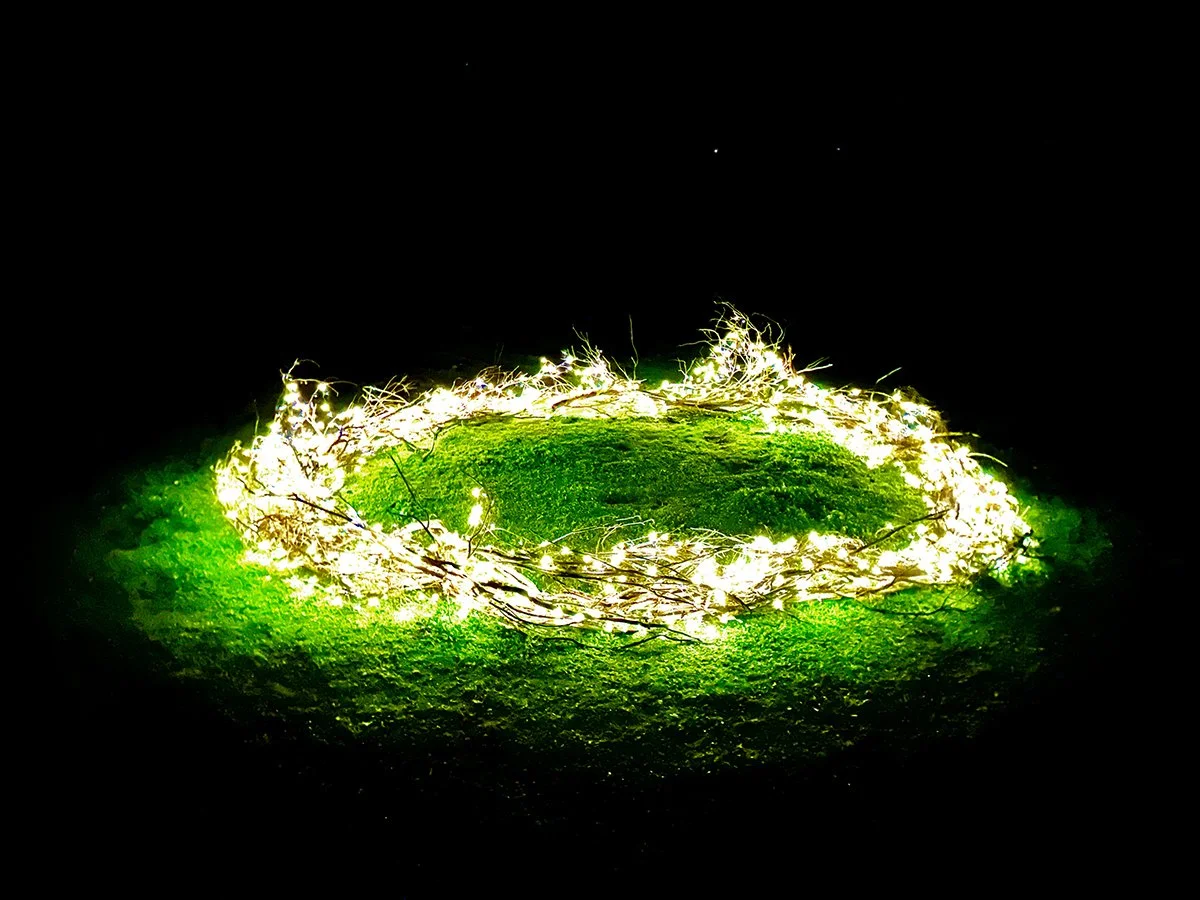 Caroline Christie-Coxon, Fairytale