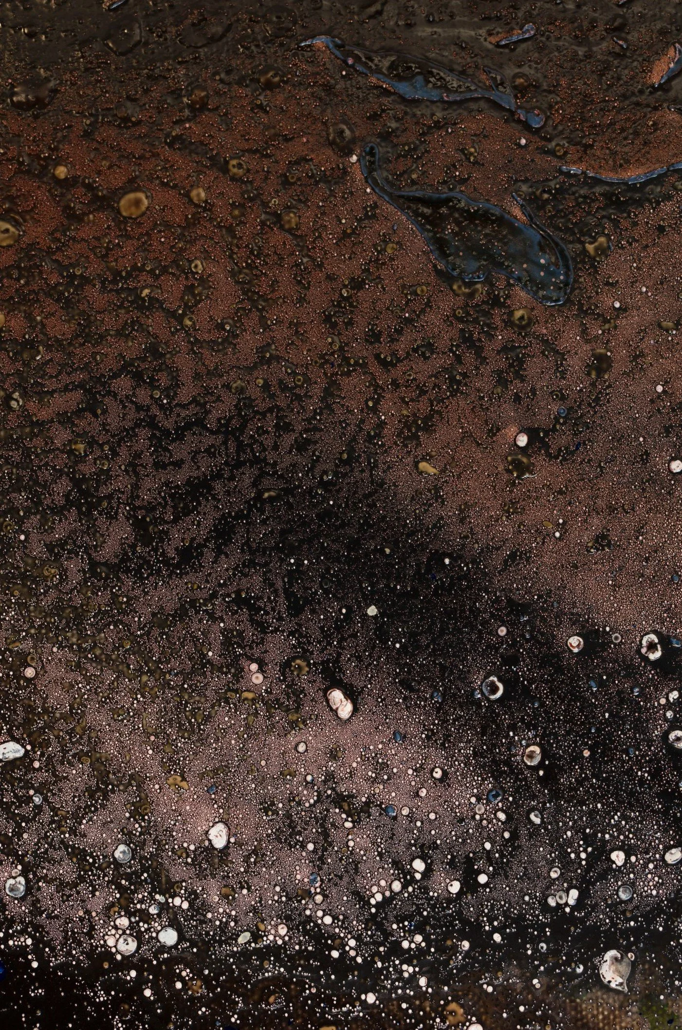 Cosmos R1 CROPPED.jpg