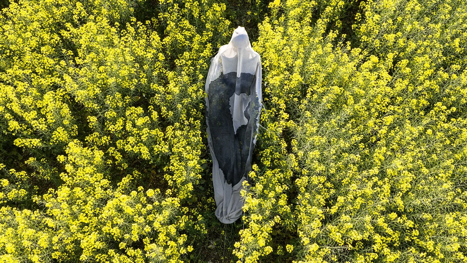 Collapse In Yellow 2