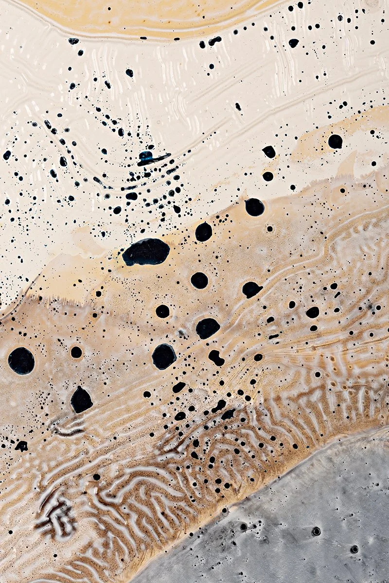 Shell 3 - websize.jpg