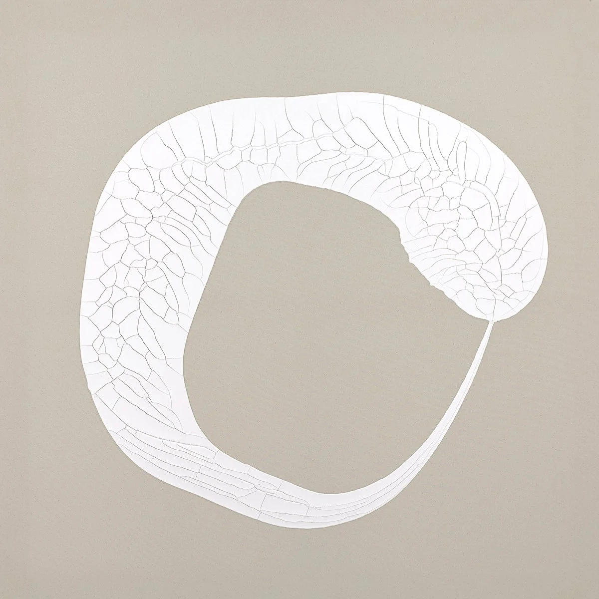 Caroline Christie-Coxon_Curvature As Geometry_Synthetic polymer on canvas_120cm x120cm_2024 (web).jpg