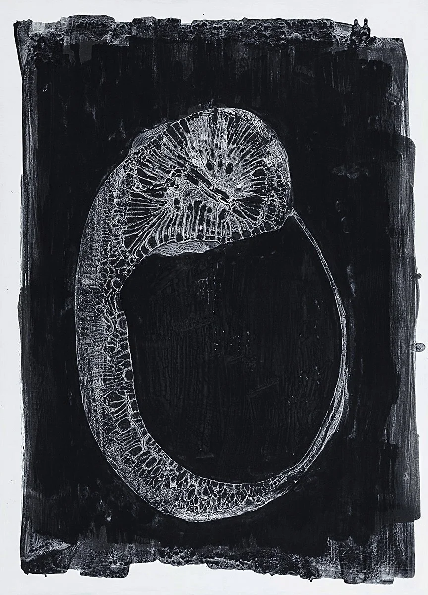 Caroline Christie-Coxon. Fossil Ring
