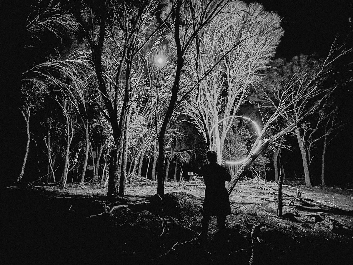 Night Forest 5-websize.jpg