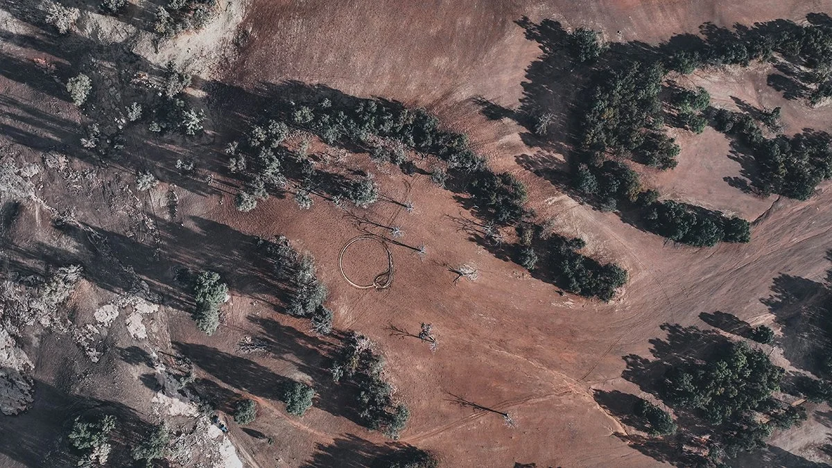 Wandering Ouroboros 10-websize.jpg