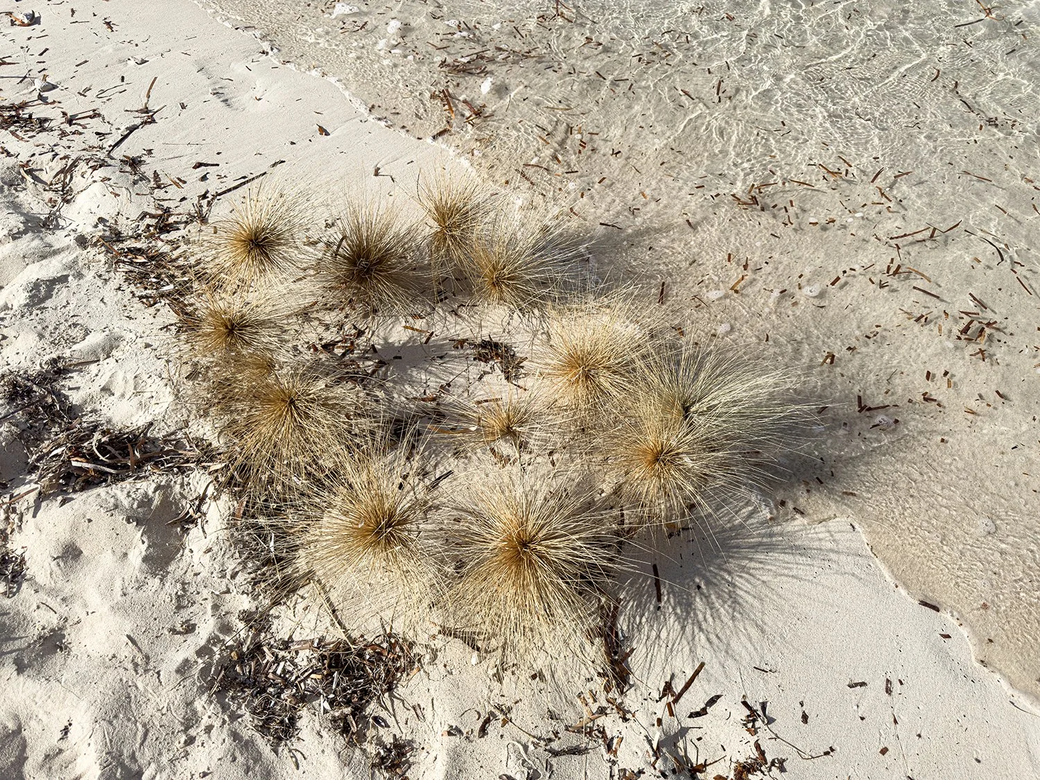 A Kingdom For An Afternoon 1