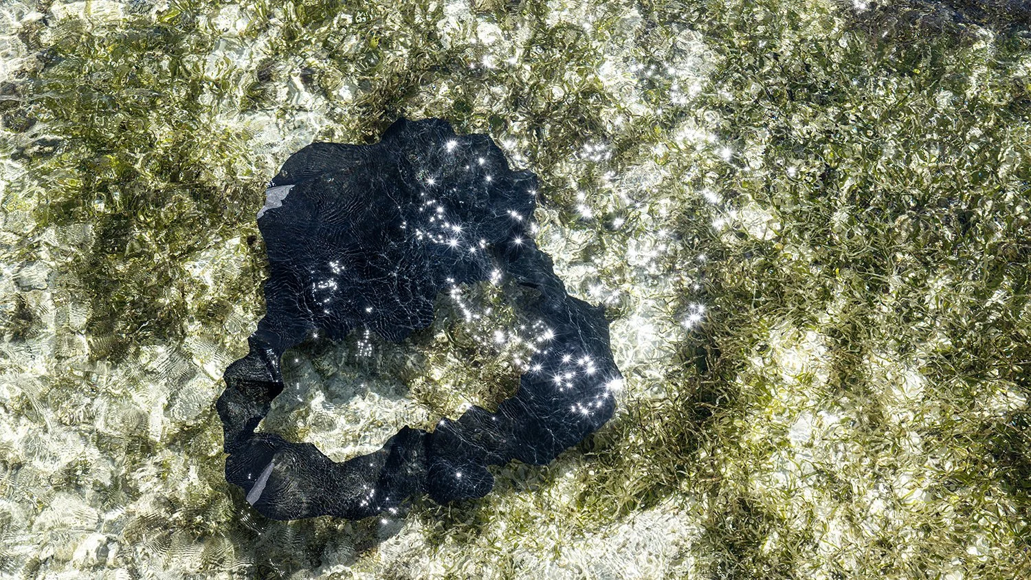 False Organic 1