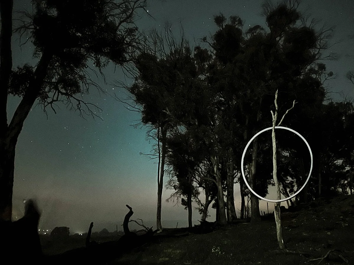 Spirit Tree 8. Caroline Christie-Coxon 09.2023 - websize.jpg
