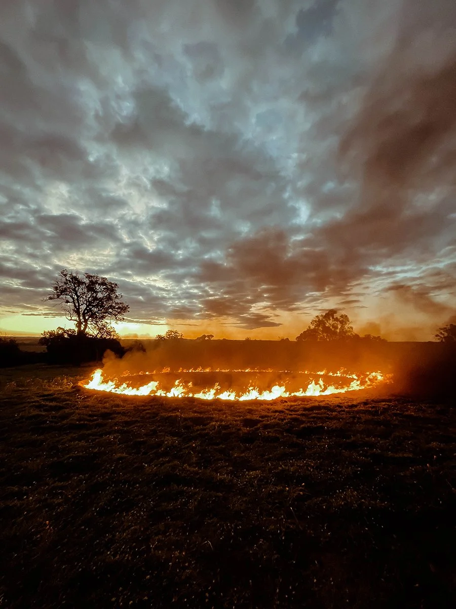 Scar 10. Caroline Christie-Coxon 09.2022 - websize.jpg