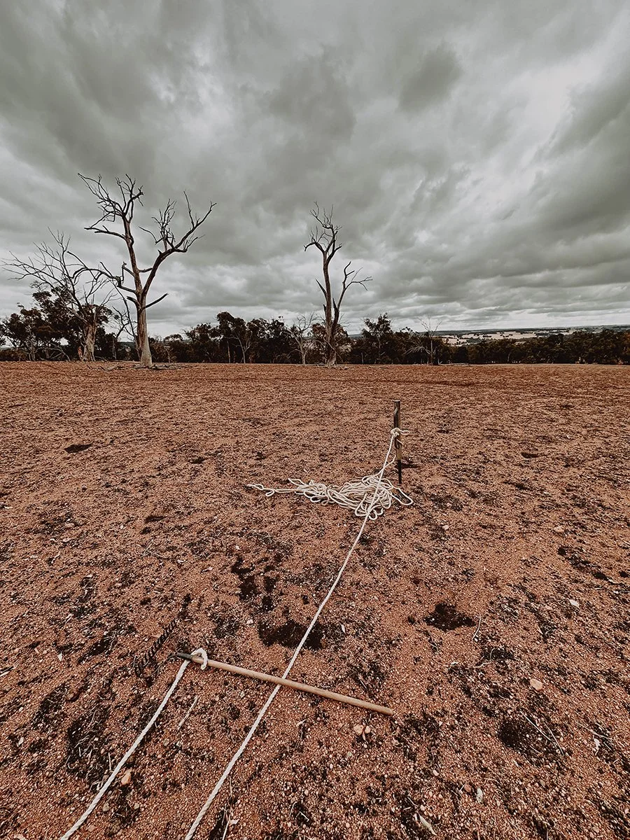 Wandering Ouroboros 1-websize.jpg