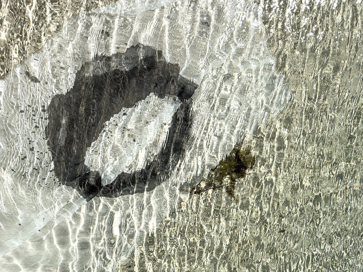Submerged 2