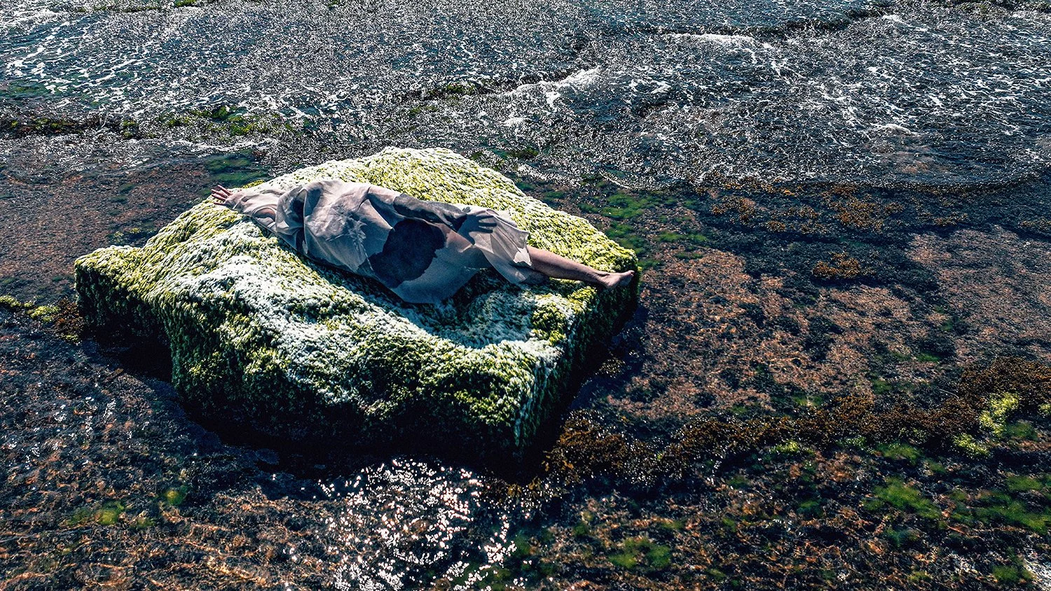 Crocodile Rocks 2