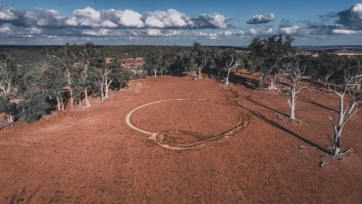 Wandering Ouroboros w 3c websize.jpg