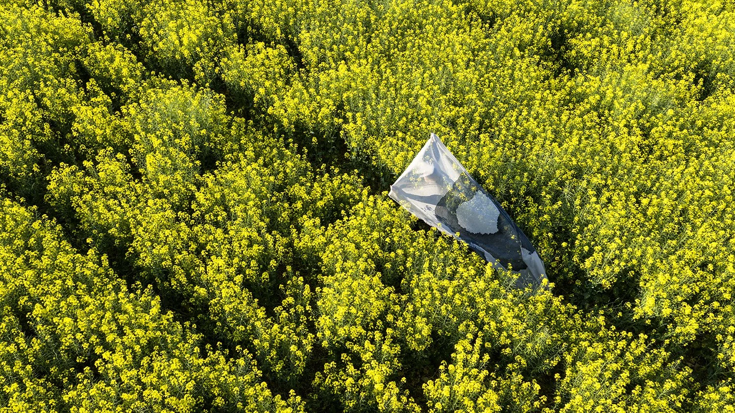 Collapse In Yellow 3