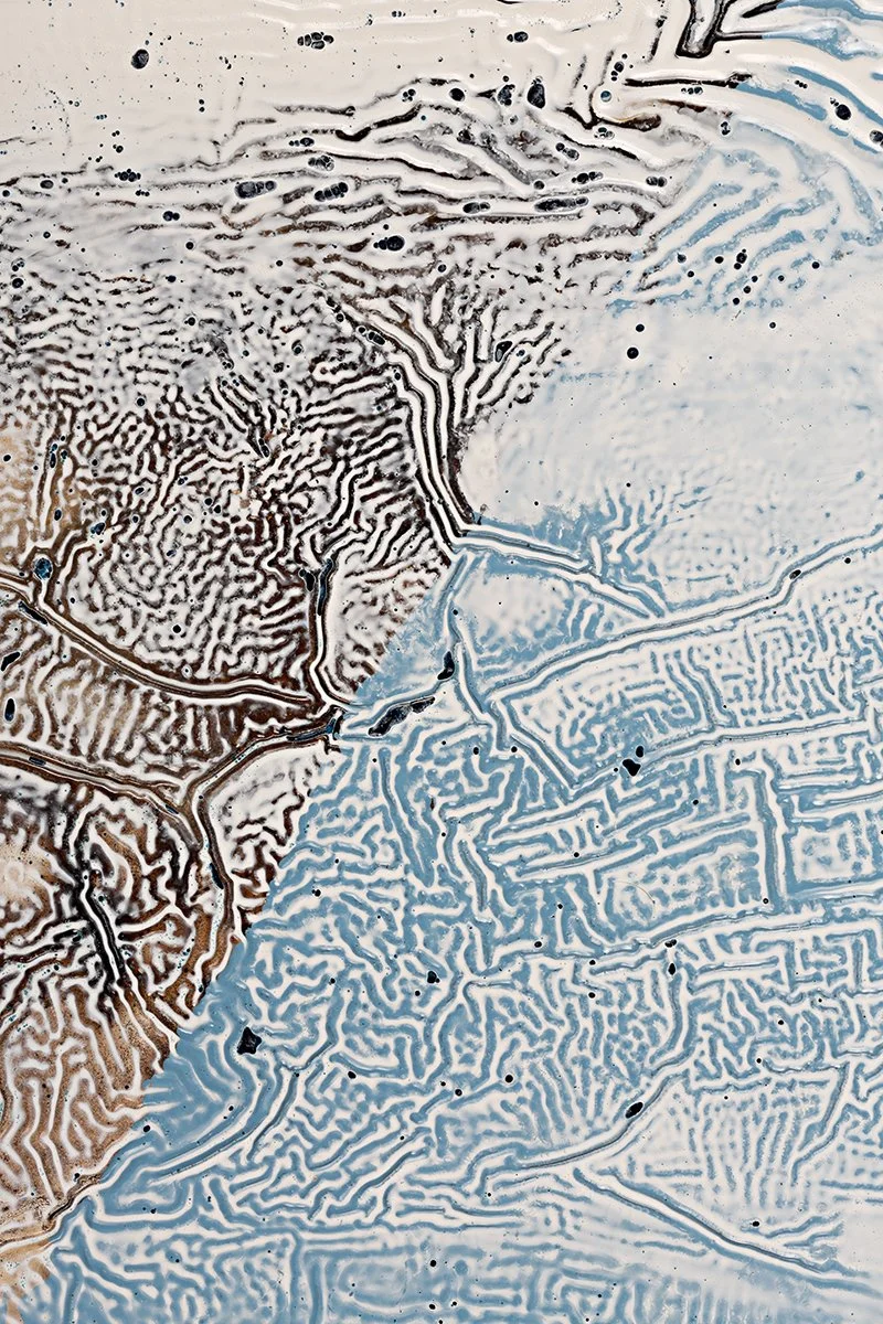 Shell 4 - websize.jpg