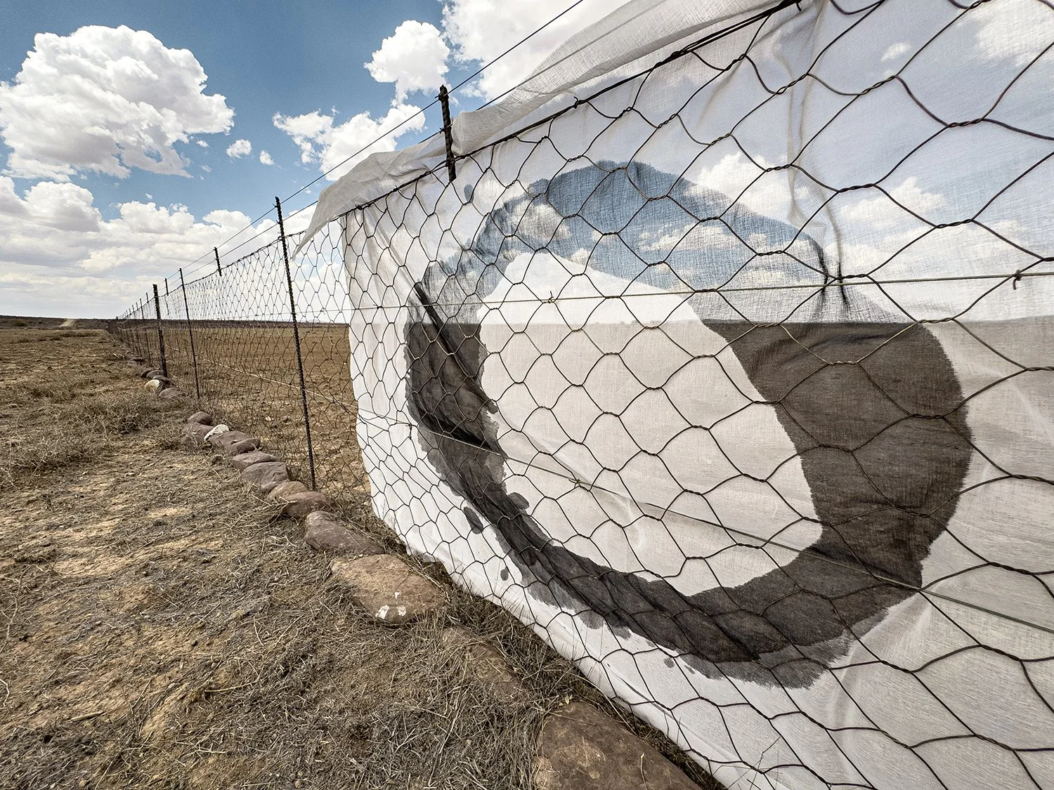 Wind Rights 2
