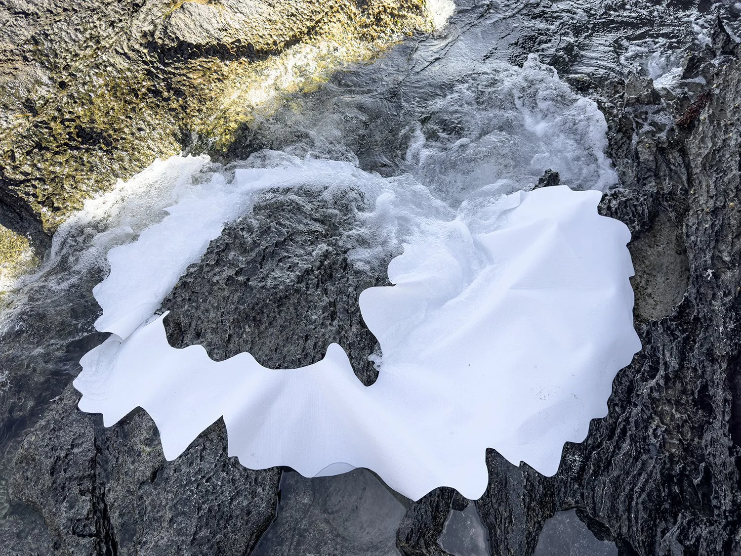 Caroline Christie-Coxon, Curating The Flow