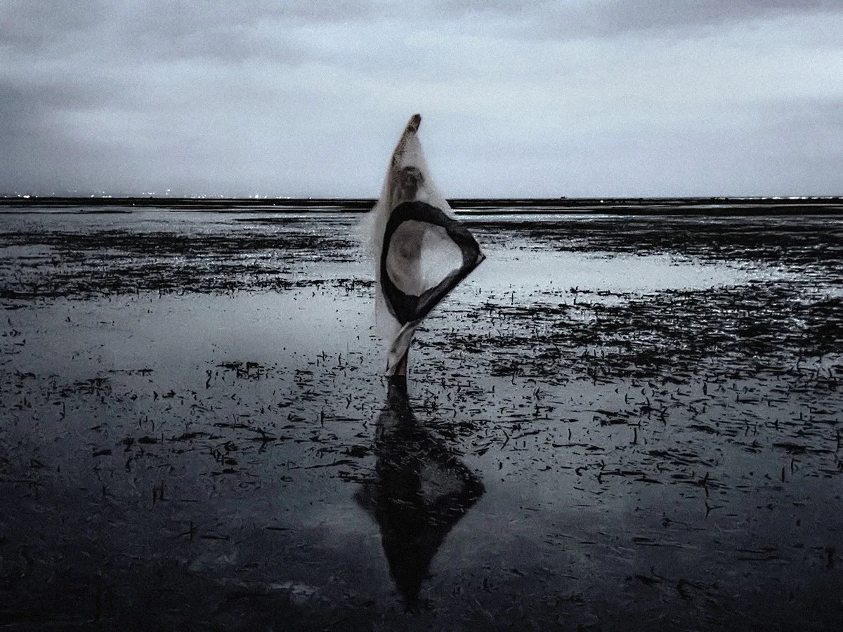 Immersion 4