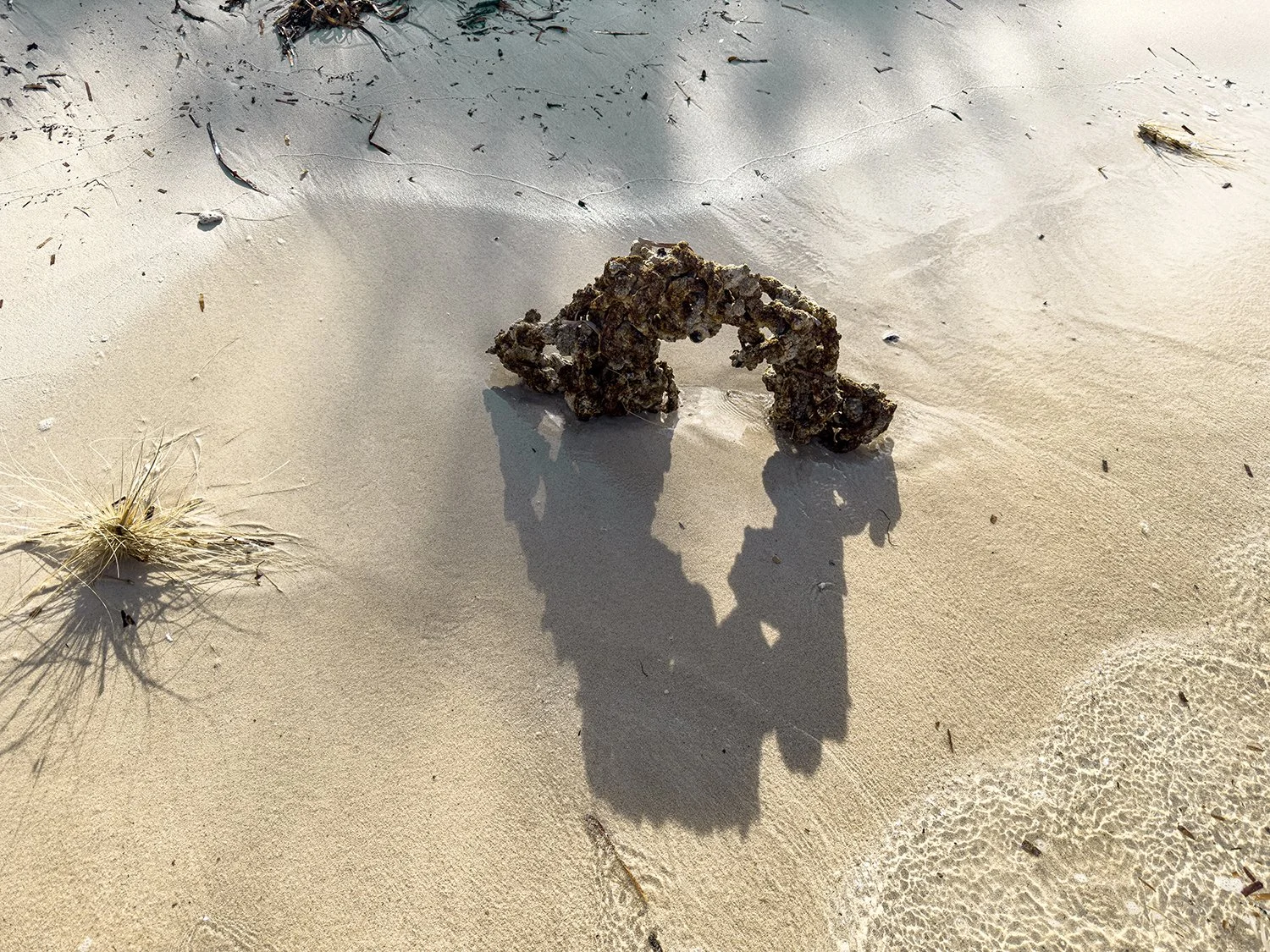 A Kingdom For An Afternoon 2