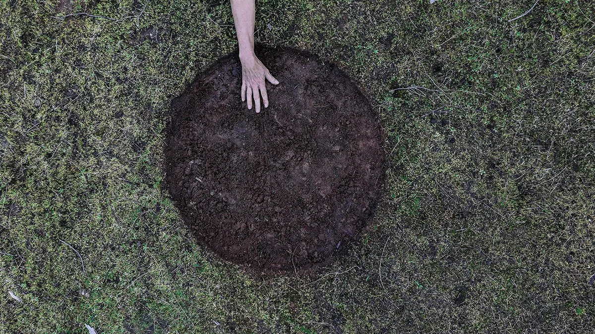 Moss Mud 14. Caroline Christie-Coxon 07.2024 - websize.jpg