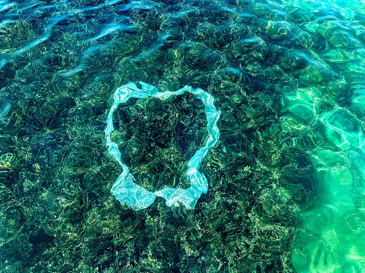 Caroline Christie-Coxon, Drifting Eden