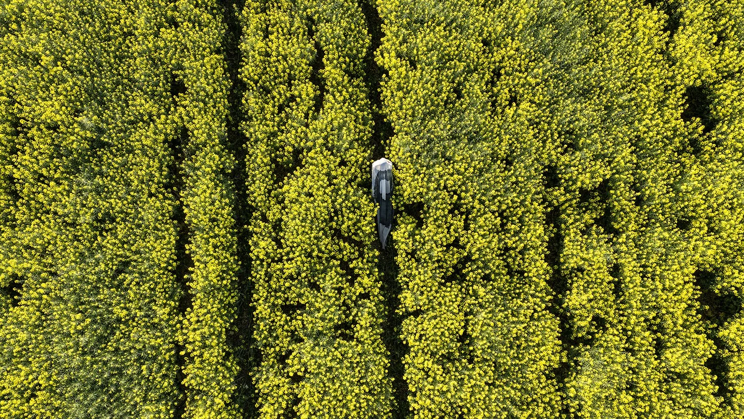 Collapse In Yellow 1