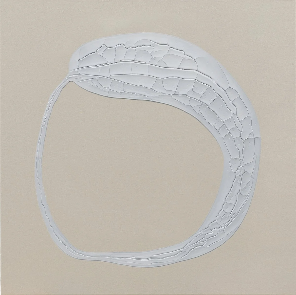 Caroline Christie-Coxon. Polygon Loop