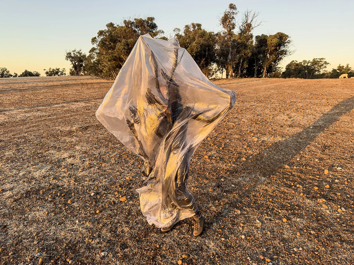 Caroline Christie-Coxon, Pollution We Hold Close