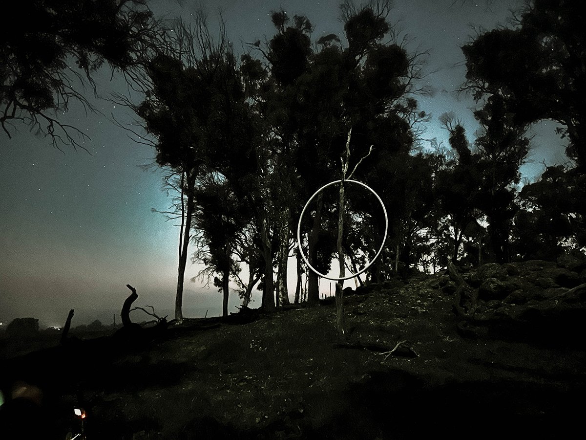 Spirit Tree 7. Caroline Christie-Coxon 09.2023 - websize.jpg