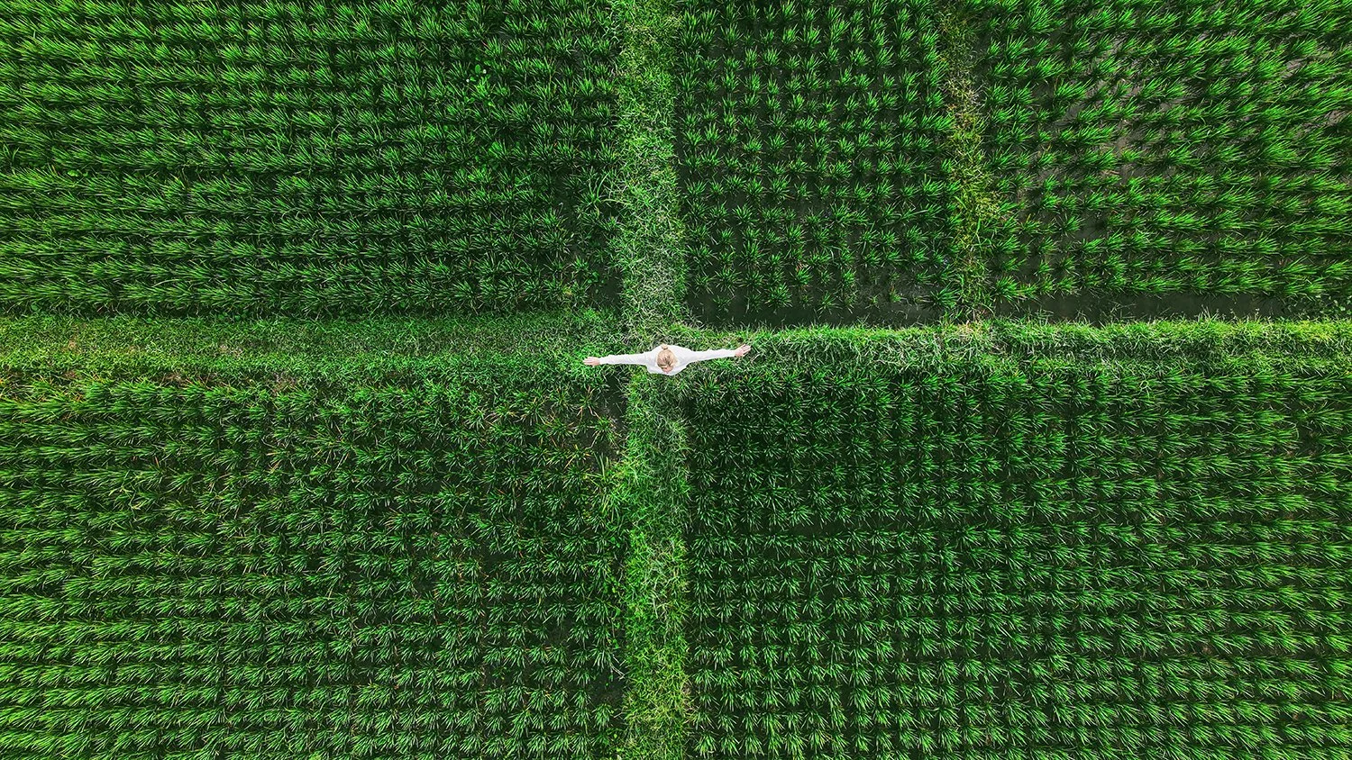 Caroline Christie-Coxon, Axis