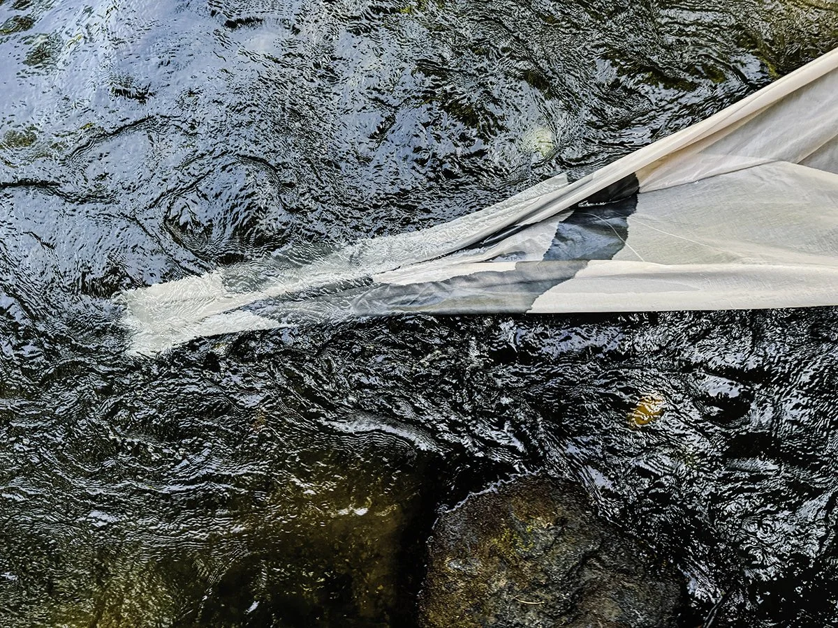 Jungle Flow 9.  Caroline Christie-Coxon 08.2024 - websize.jpg