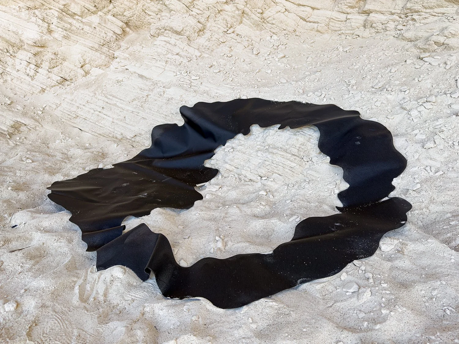 Black Mimicry 3