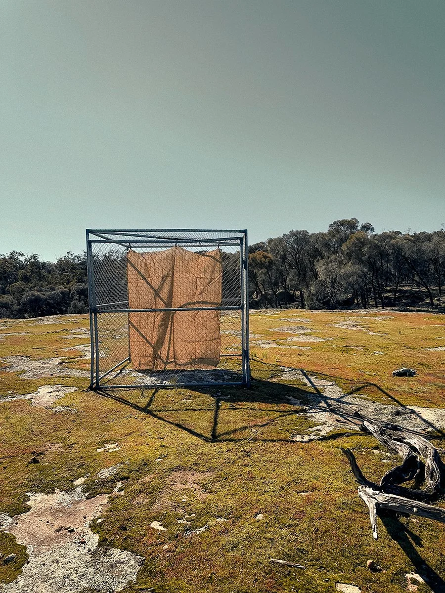 Entwined 9. Caroline Christie-Coxon 08.2023 - websize.jpg