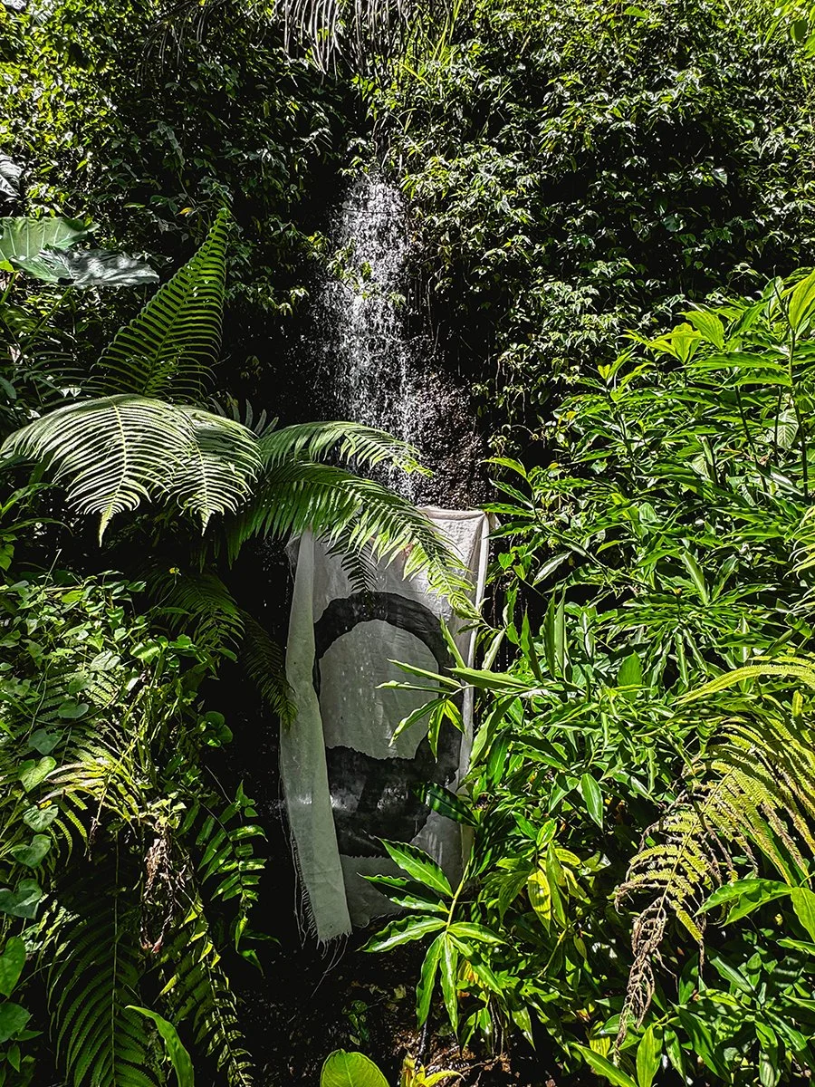 Jungle Flow 18.  Caroline Christie-Coxon 08.2024 - websize.jpg