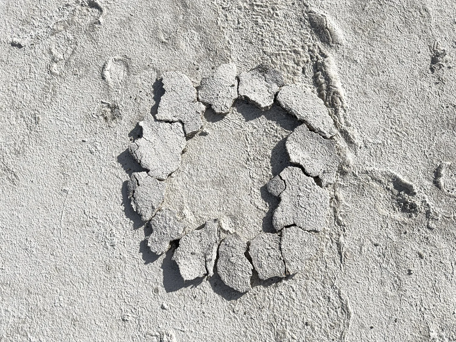 Caroline Christie-Coxon, Salt Crust