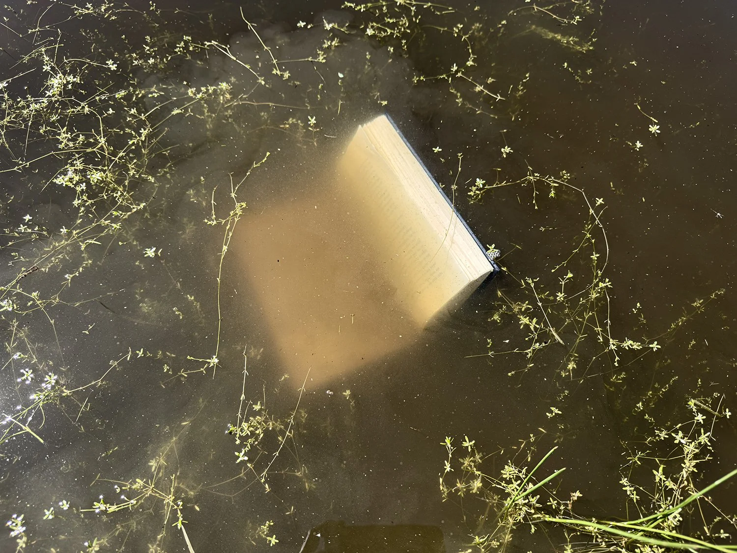 Caroline Christie-Coxon, Lost Stories