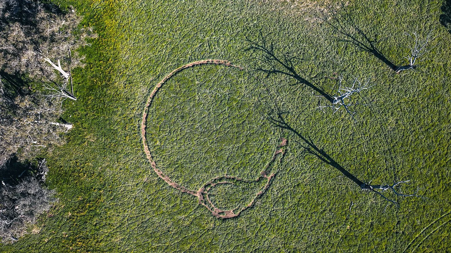 Caroline Christie-Coxon, Earth Ouroboros