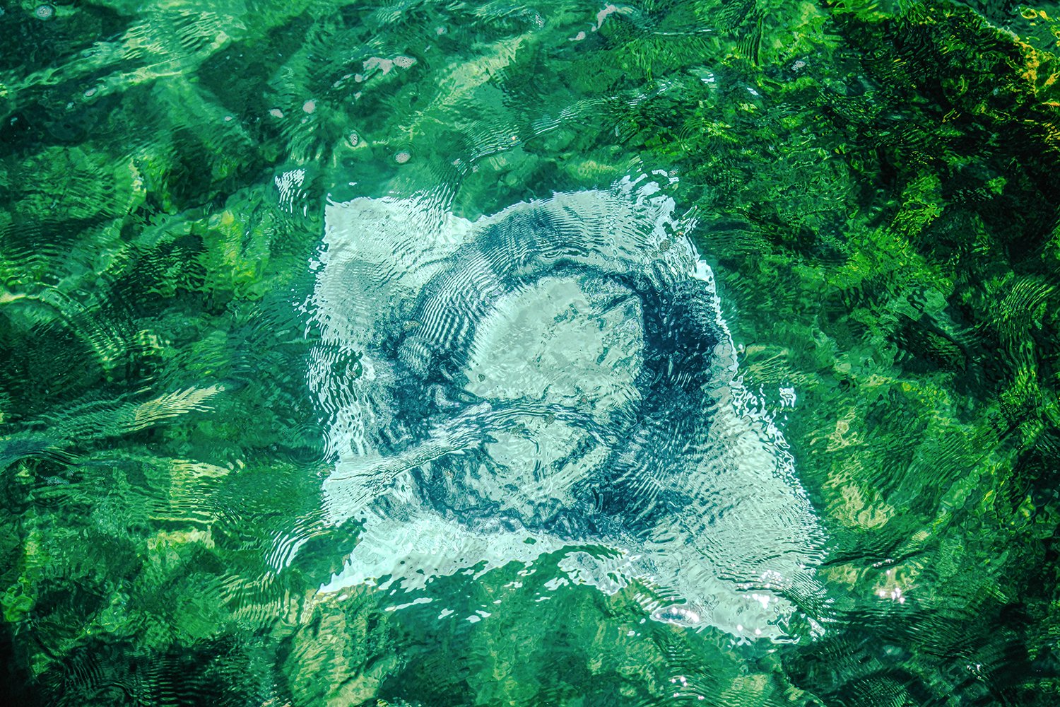 A Thousand Drops 3, 2024